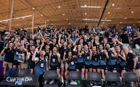 Image result for Vsl Mixed Netball Squad