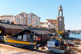 Image result for Swanage & District Angling Club