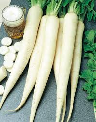 Image result for Rettich