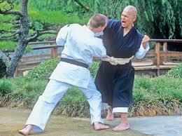 Image result for Harrow Shorinji Kempo