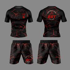 Image result for Blood Sweat and Tears Mixed Martial Arts Academy