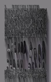 Attēlu rezultāti vaicājumam “Comatricha nigra young”