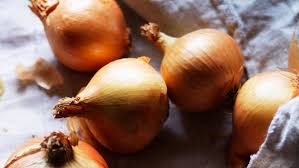 Image result for Zwiebeln