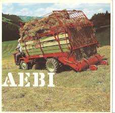 Image result for aebi tehron