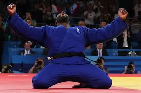 Image result for Judo Excellence