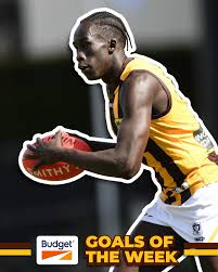 Image result for Box Hill SC