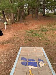 Image result for Ashville College Disc Golf Club