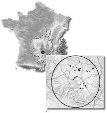 Attēlu rezultāti vaicājumam “Cladopodiella francisci”