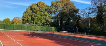 Image result for Aston Ingham Cricket Club