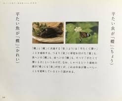 「憚木蝶左」の画像検索結果