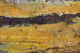 Attēlu rezultāti vaicājumam “Crustoderma dryinum”