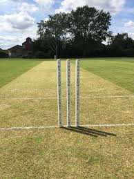 Image result for Longstanton Grasshoppers Cc