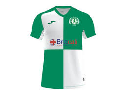 Image result for Billingham Synthonia Bowling Club