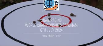 Image result for World Snail Racing Championships