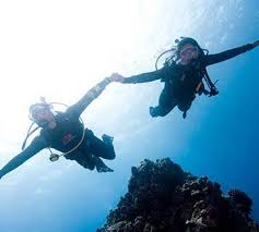 Image result for Exe To Sea Diving