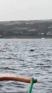 Image result for Zennor Gig Club (Penzance)