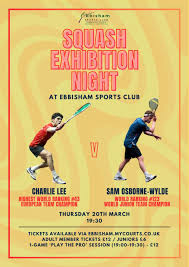 Image result for Ebbisham Junior Badminton Club