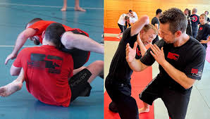 Image result for Combined self defence arts