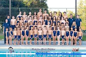 Image result for Gosport Dolphins Swimming Club