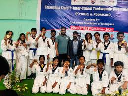 Image result for Hed Tkd (Dorking Tae Kwon-Do)