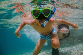 Image result for Wyndley NSC Snorkelling Club