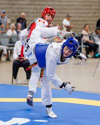 Image result for Kees Tae Kwon Do