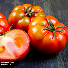 Afbeeldingsresultaat voor marmande jaune tomato