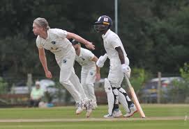 Image result for Lewdown Cricket Club