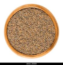 Attēlu rezultāti vaicājumam “Diplotaxis tenuifolia fruit”