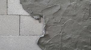 Image result for kaleien