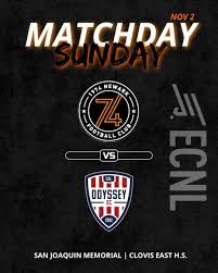 Image result for Newark Sc