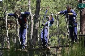 Image result for PONT DE SINGE