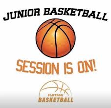 Image result for Blackpool Lights Ladies Basketball Club