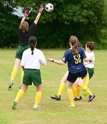 Image result for Lyc Badminton London Club Badminton Club