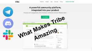 Image result for tribe[/url]