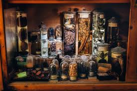 Image result for Thaddus Haenke