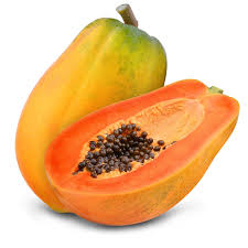Image result for Carica papaya