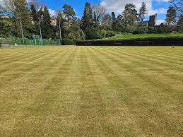 Image result for Rhayader Bowling Club