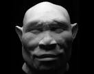 Homo erectus lived one million