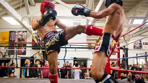Image result for Muay Thai Clubs