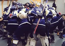 Image result for West Coast Wasps Skater Hockey Club