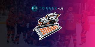 Image result for Sheffield Steelers