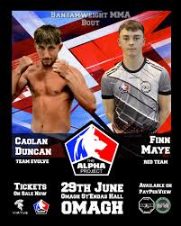 Image result for Omagh St Endas