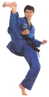 Image result for Bytomic Tae Kwon Do Watford