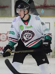 Image result for Basingstoke Bison Ice Hockey Club