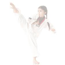 Image result for Nottingham Sankukai Karate