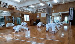 Image result for Zen Shin Seicho Do Adult Karate