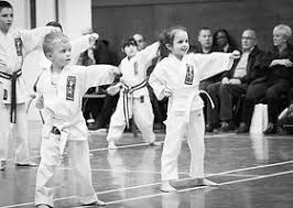 Image result for Orpington Shotokan Karate Club