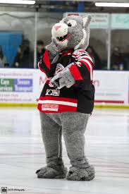 Image result for Swindon Panthers