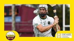 Image result for Sarsfields Hurling Club
